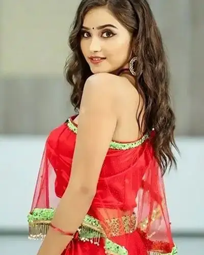 Call Girls Service Jim Corbett